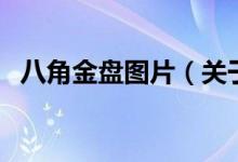 八角金盘图片（关于八角金盘图片的介绍）