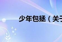 少年包拯（关于少年包拯的介绍）