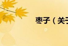 枣子（关于枣子的介绍）