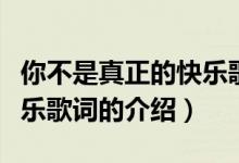 你不是真正的快乐歌词（关于你不是真正的快乐歌词的介绍）