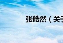 张皓然（关于张皓然的介绍）