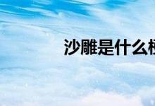 沙雕是什么梗（沙雕的释义）