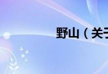 野山（关于野山的介绍）