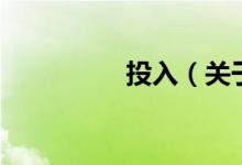 投入（关于投入的介绍）