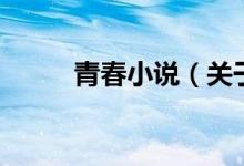 青春小说（关于青春小说的介绍）