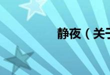 静夜（关于静夜的介绍）