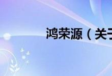 鸿荣源（关于鸿荣源的介绍）