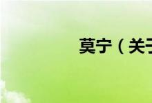 莫宁（关于莫宁的介绍）