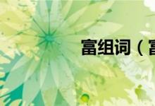 富组词（富读音及解释）