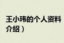 王小玮的个人资料（关于王小玮的个人资料的介绍）