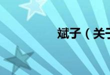 斌子（关于斌子的介绍）