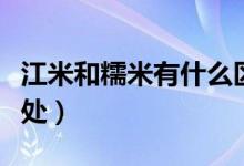 江米和糯米有什么区别（江米和糯米的不同之处）