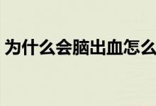 为什么会脑出血怎么预防（为什么会脑出血）
