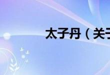 太子丹（关于太子丹的介绍）