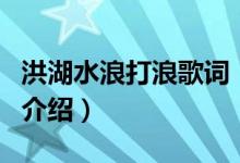 洪湖水浪打浪歌词（关于洪湖水浪打浪歌词的介绍）