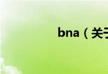 bna（关于bna的介绍）