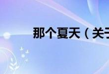 那个夏天（关于那个夏天的介绍）