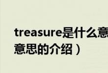 treasure是什么意思（关于treasure是什么意思的介绍）