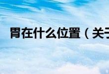 胃在什么位置（关于胃在什么位置的介绍）