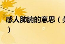 感人肺腑的意思（关于感人肺腑的意思的介绍）