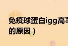 免疫球蛋白igg高荨麻疹（免疫球蛋白igg高的原因）