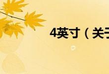 4英寸（关于4英寸的介绍）