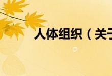 人体组织（关于人体组织的介绍）