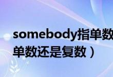 somebody指单数还是复数（somebody是单数还是复数）