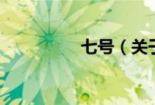 七号（关于七号的介绍）