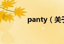 panty（关于panty的介绍）