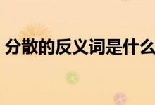 分散的反义词是什么（分散的反义词有哪些）