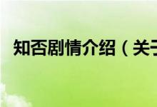 知否剧情介绍（关于知否剧情介绍的介绍）
