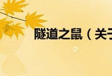 隧道之鼠（关于隧道之鼠的介绍）