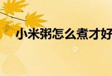 小米粥怎么煮才好吃（小米粥好吃做法）