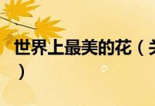 世界上最美的花（关于世界上最美的花的介绍）