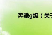 奔驰g级（关于奔驰g级的介绍）