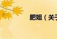 肥姐（关于肥姐的介绍）