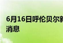 6月16日呼伦贝尔新型冠状病毒肺炎疫情最新消息