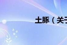 土豚（关于土豚的介绍）
