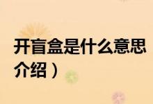 开盲盒是什么意思（关于开盲盒是什么意思的介绍）