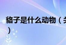 貉子是什么动物（关于貉子是什么动物的介绍）