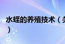 水蛭的养殖技术（关于水蛭的养殖技术的介绍）