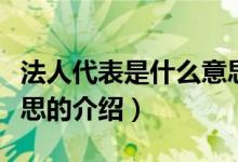 法人代表是什么意思（关于法人代表是什么意思的介绍）