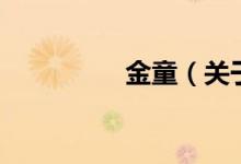 金童（关于金童的介绍）