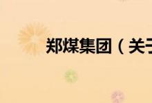 郑煤集团（关于郑煤集团的介绍）