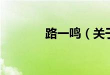 路一鸣（关于路一鸣的介绍）