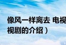 像风一样离去 电视剧（关于像风一样离去 电视剧的介绍）