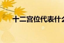 十二宫位代表什么（十二宫位的意思）