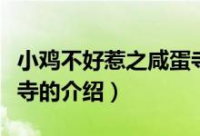 小鸡不好惹之咸蛋寺（关于小鸡不好惹之咸蛋寺的介绍）