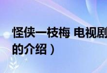 怪侠一枝梅 电视剧（关于怪侠一枝梅 电视剧的介绍）
